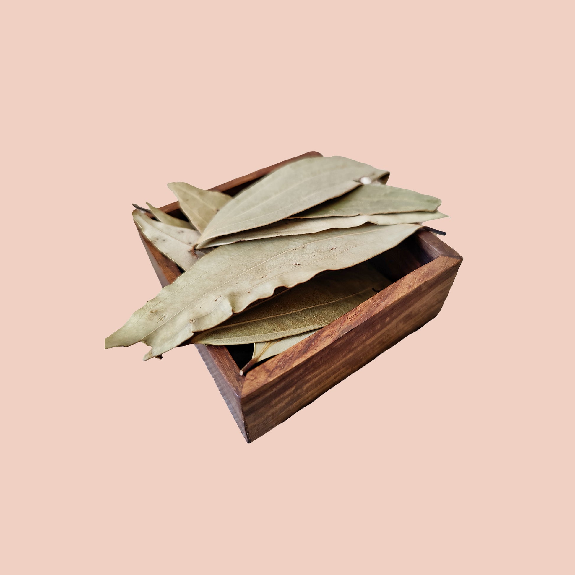 Organic Bay Leaf - Shuddhi Aromatics